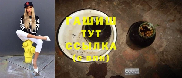 шишки Арсеньев