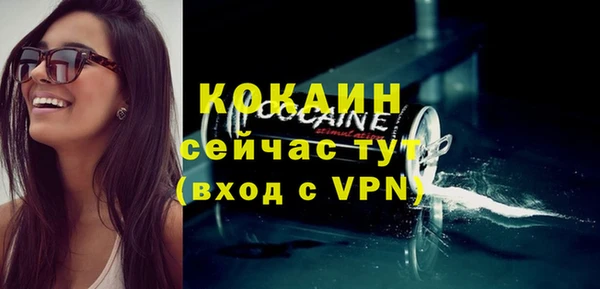 шишки Арсеньев