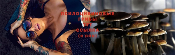 стафф Покров