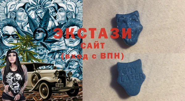 шишки Арсеньев