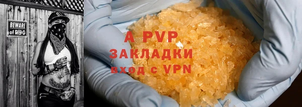 шишки Арсеньев