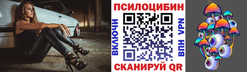 Купить закладки  Асино  Псилоцибиновые грибы GOLDEN TEACHER 